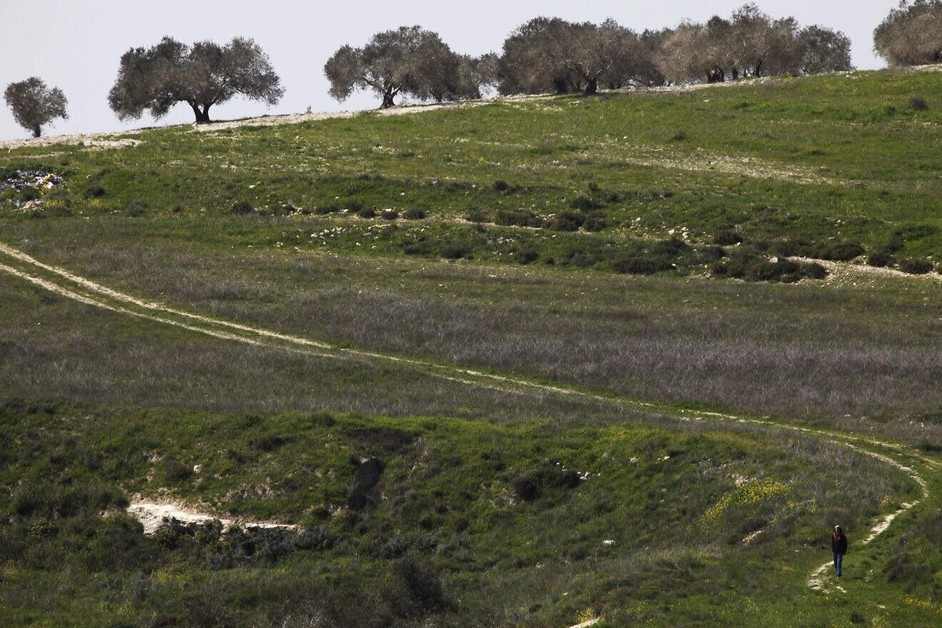 Gilad Farm settlement in Judea and Samaria. Photo by Nati Shohat/Flash90.