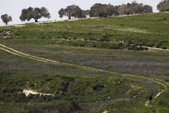 Gilad Farm settlement in Judea and Samaria. Photo by Nati Shohat/Flash90.