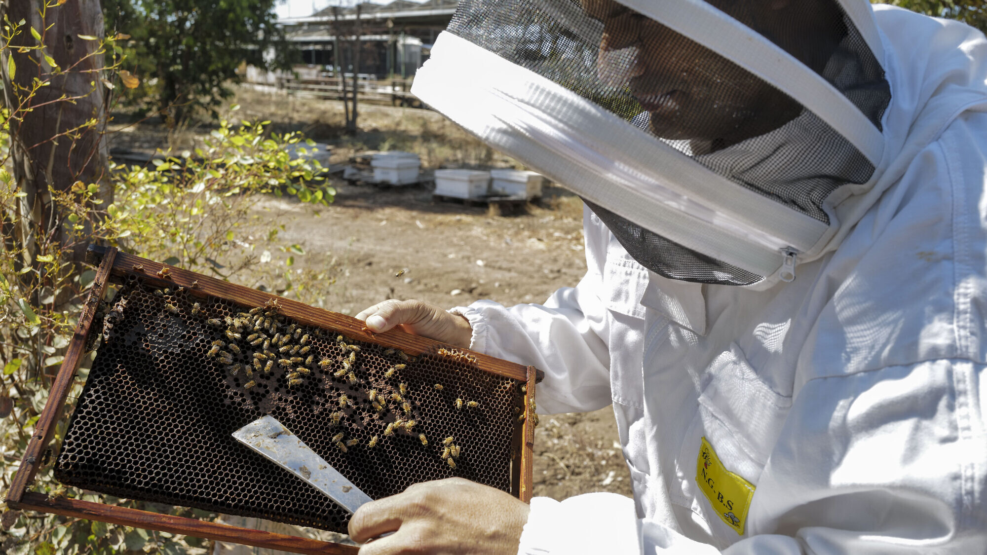 Beekeepers and second-generation honey manufacturers are getting the last honey and almonds gift package orders ready, two days ahead of the Jewish New Year. Moshav Givat Yoav, Golan Heights on Sept. 30, 2024. Photo by Michael Giladi/Flash90.
