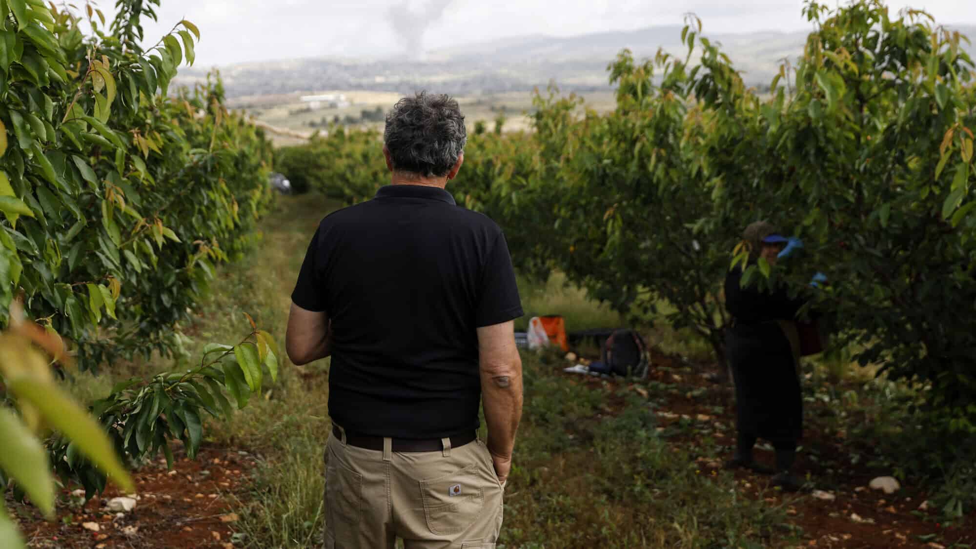 A man standing in a cherry orchard in the northern Israeli Kibbutz Malkia watches smoke billowing above the Lebanese village of Mays al-Jabal during Israeli bombardment on May 5, 2024. Photo by Jalaa Marey/AFP via Getty Images.