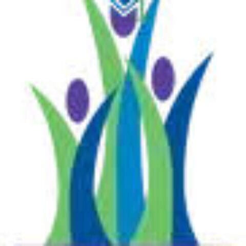 Seed the Dream Foundation logo