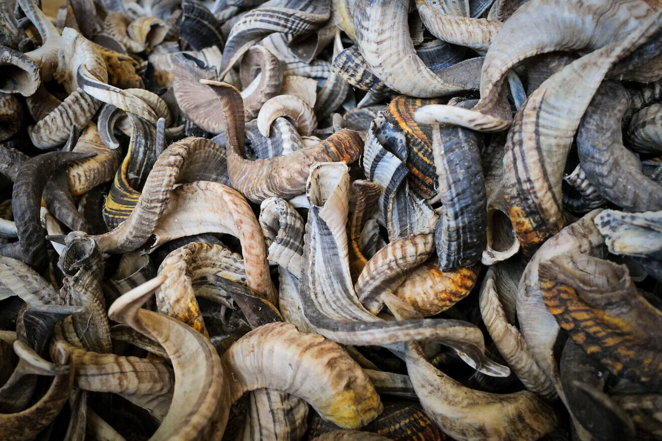 Items from the Kol Shofar workshop, owned by shofar specialist Shimon Keinan, in Givat Yoav in the southern Golan Heights, Sept. 30, 2024. Photo by Michael Giladi/Flash90.