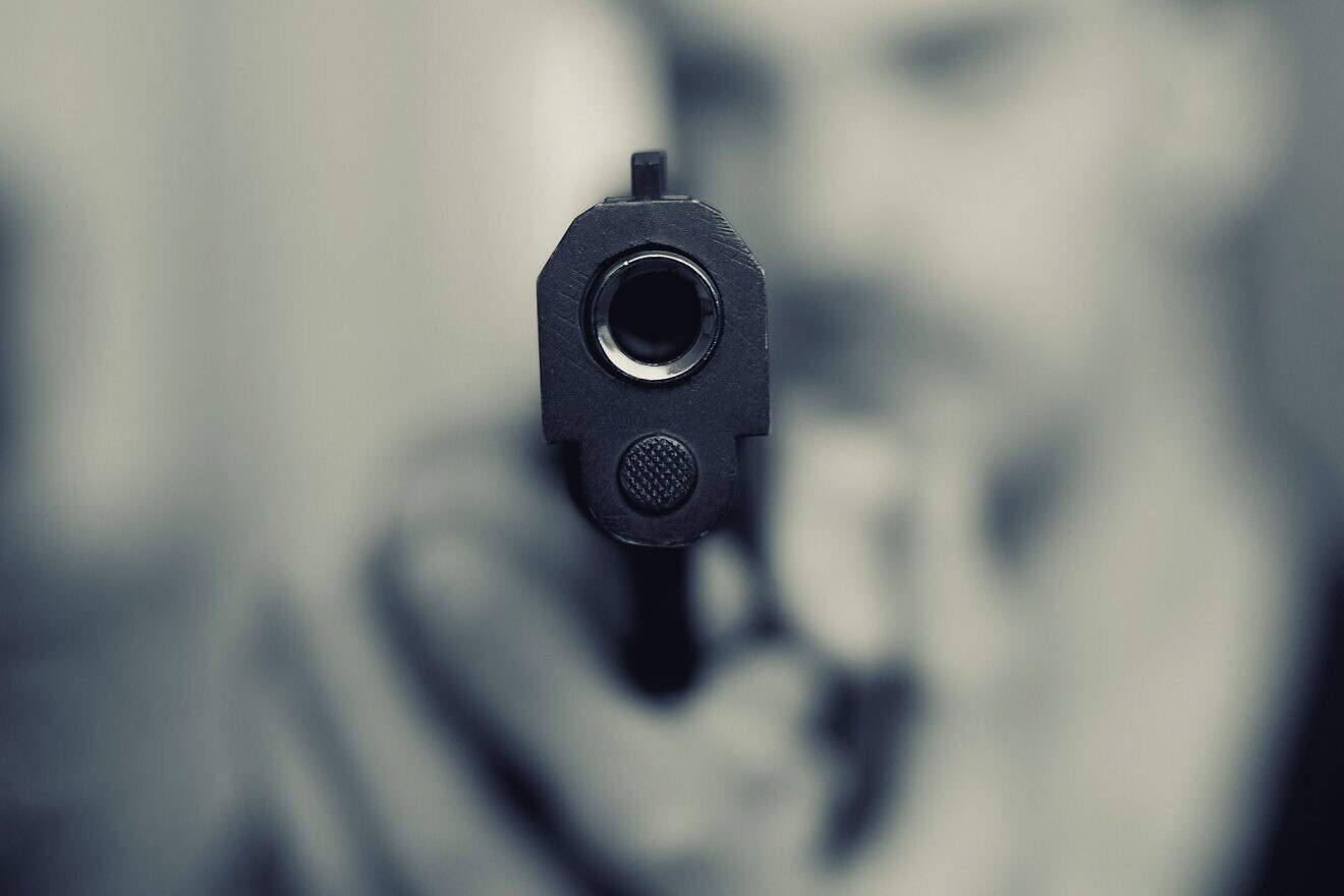 Gun. Credit: Jan-Photo/Pixabay.