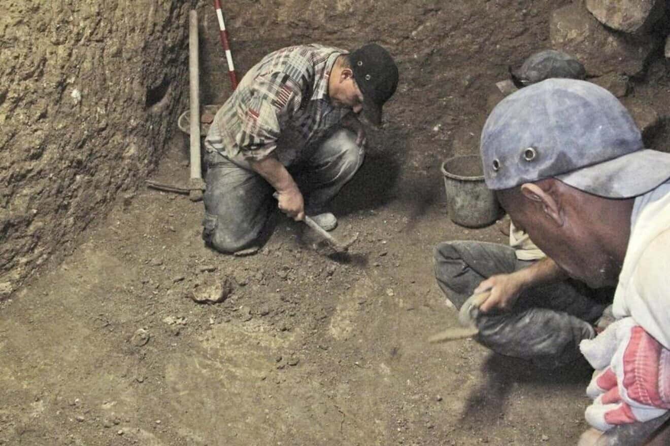 Archeologists working in the City of David site (Photo: Vladimir Neichen, Israel Antiquities Authority)