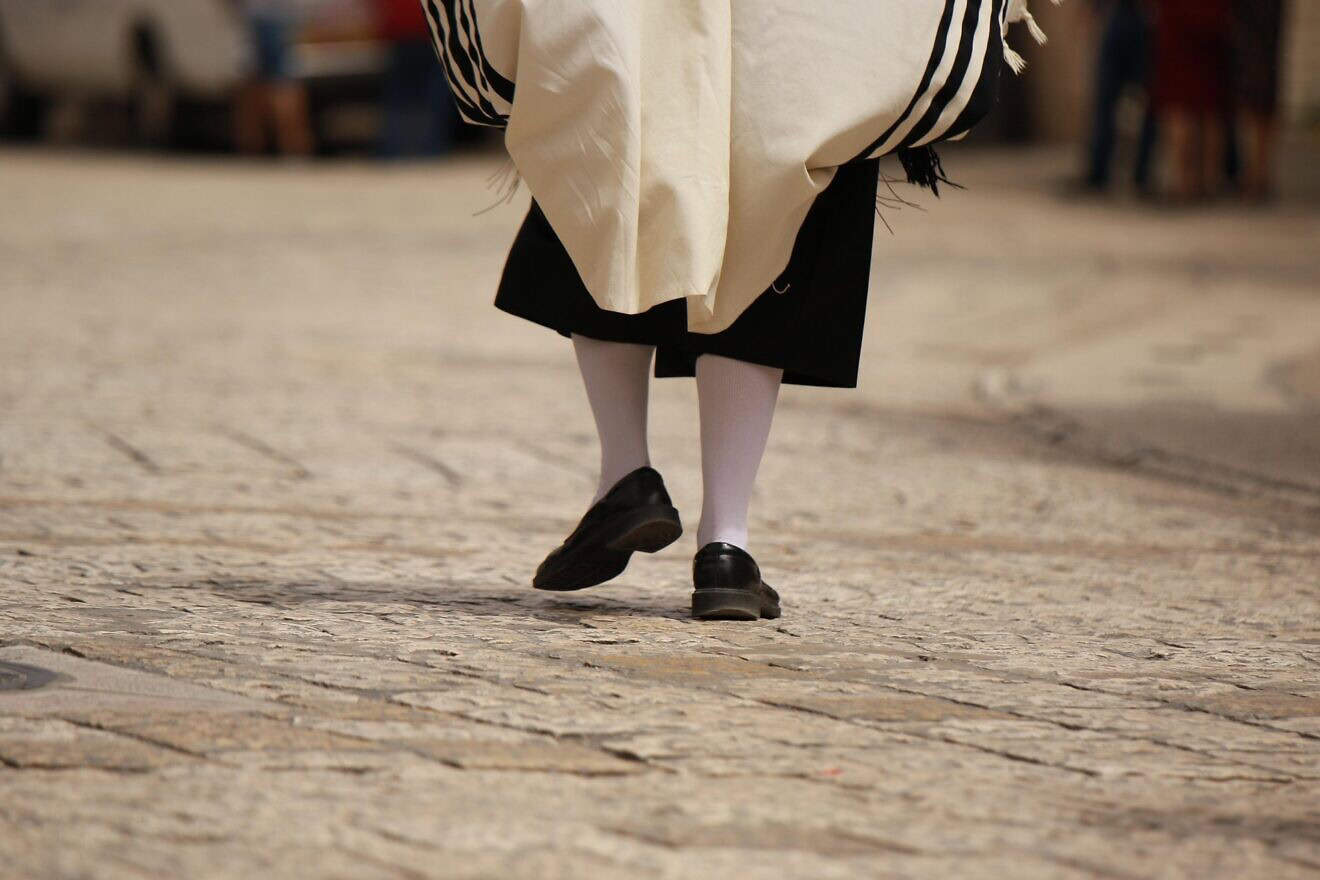 Chassidic/Haredi Jewish man. Credit: Orna W/Pixabay.