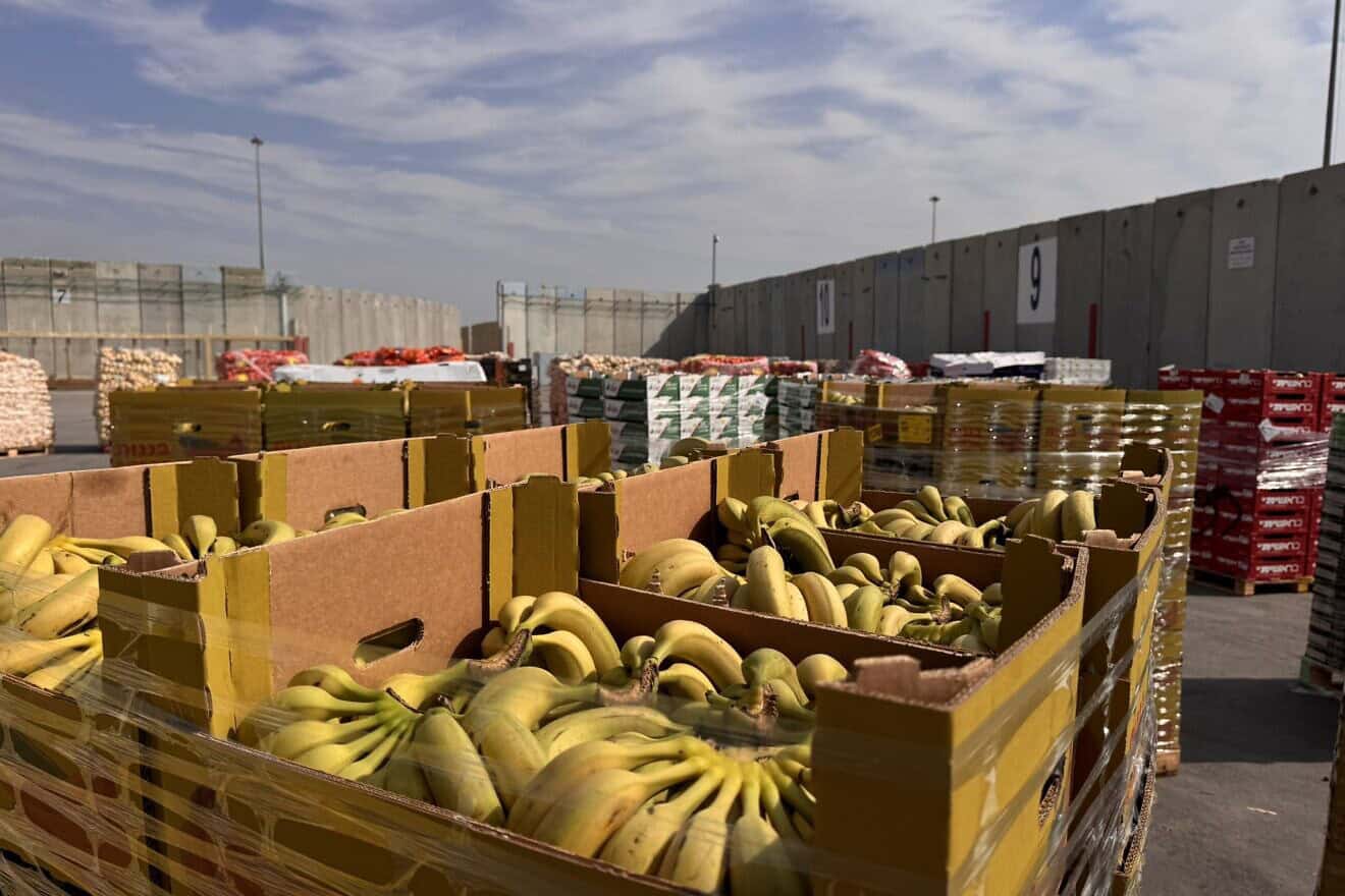 Humanitarian aid destined for the Gaza Strip, January 2025. Source: @cogatonline/X.