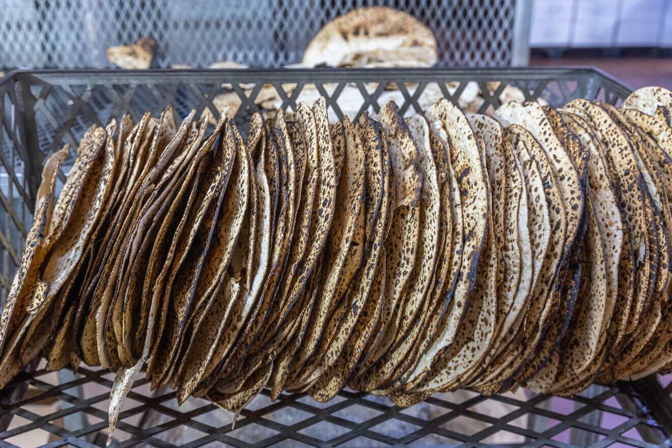 Shmurah matzah baked in Kfar Chabad, in central Israel, for Passover, March 25, 2025. Credit: Yossi Aloni/Flash90.