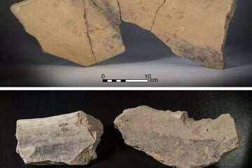 The evidence found at Tel Shiqmona includes large pottery basins stained with dye, grinding stones, and additional tools used in the process. Photo by Moshe Kan/PLOS One.