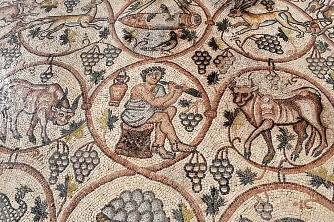 A section of the beautiful Be’er Shema (Birsama) mosaic on display in the Merhavim Regional Council’s headquarters. Photo by Yuli Schwartz/Israel Antiquities Authority.