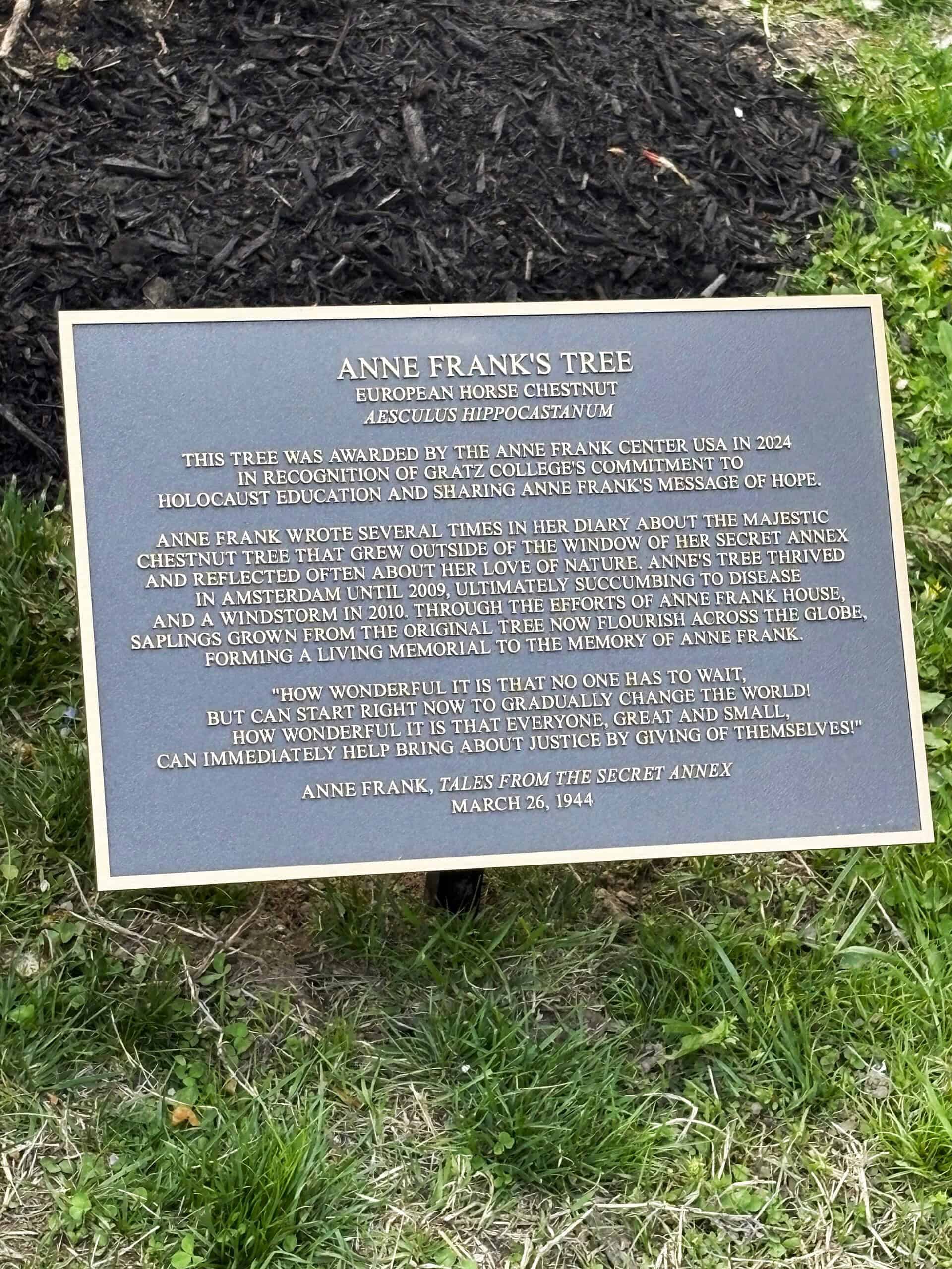 Anne Frank Tree, Gratz