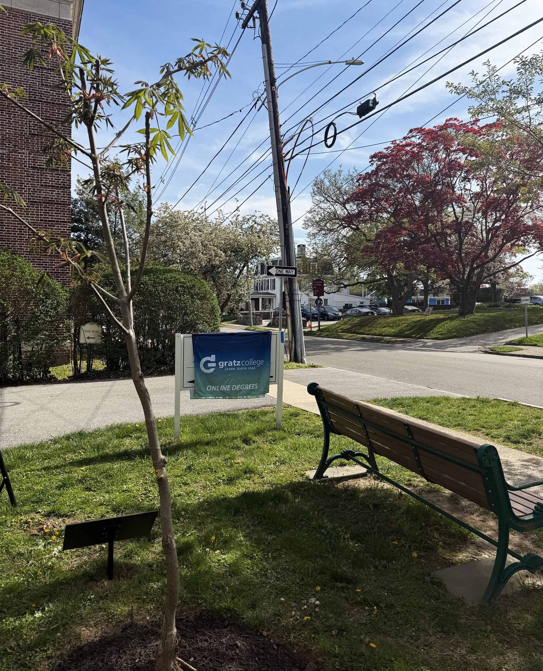 Anne Frank Tree, Gratz