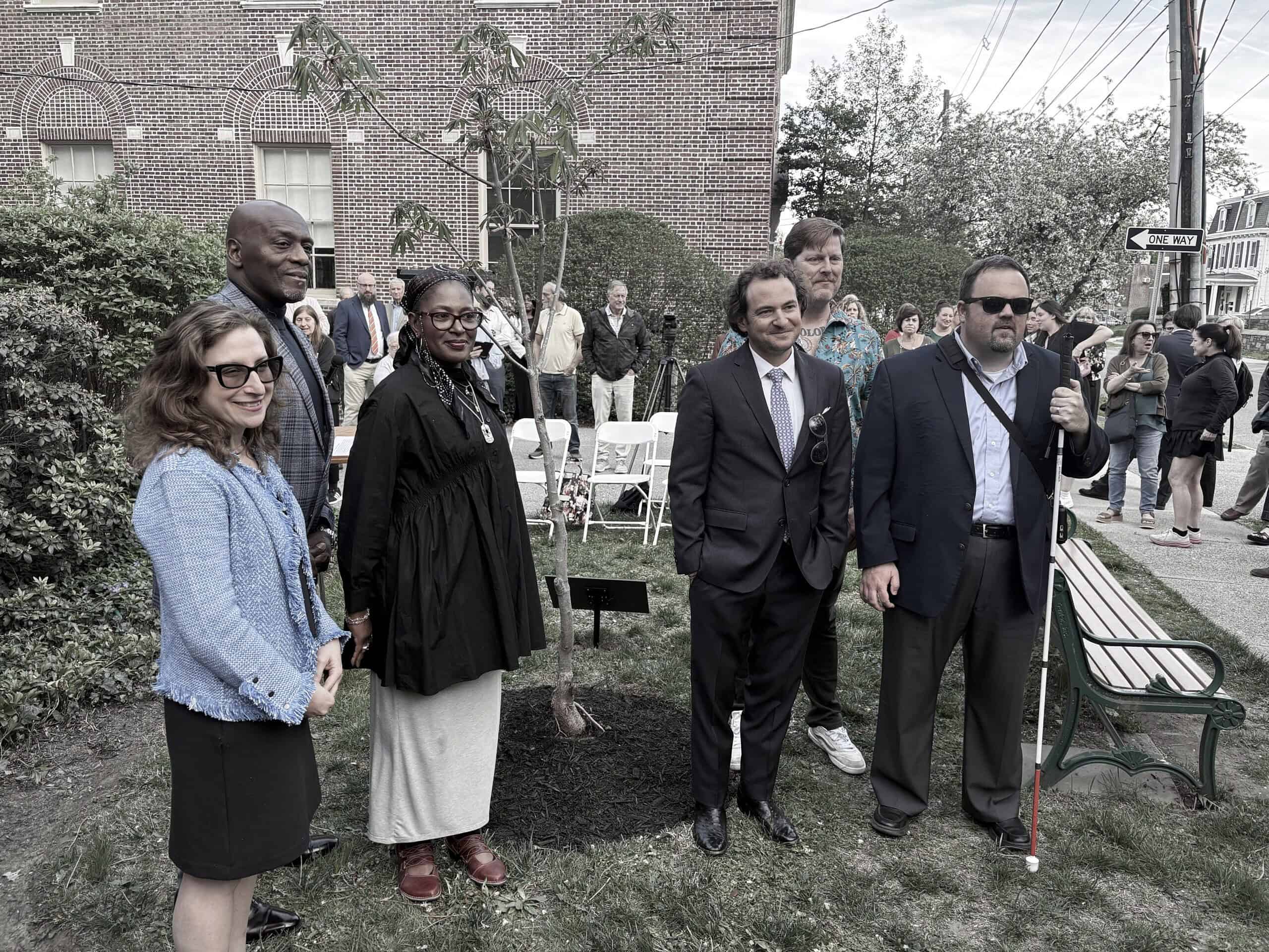 Anne Frank Tree, Gratz