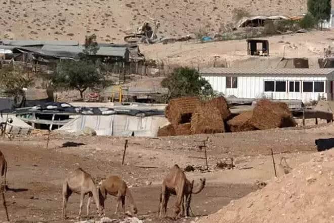 Bedouin housing in the Negev. Photo by Dudu Greenspan.