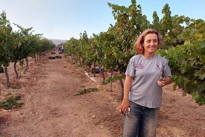 Tilling and tending the land. of Israel. Credit: Courtesy.