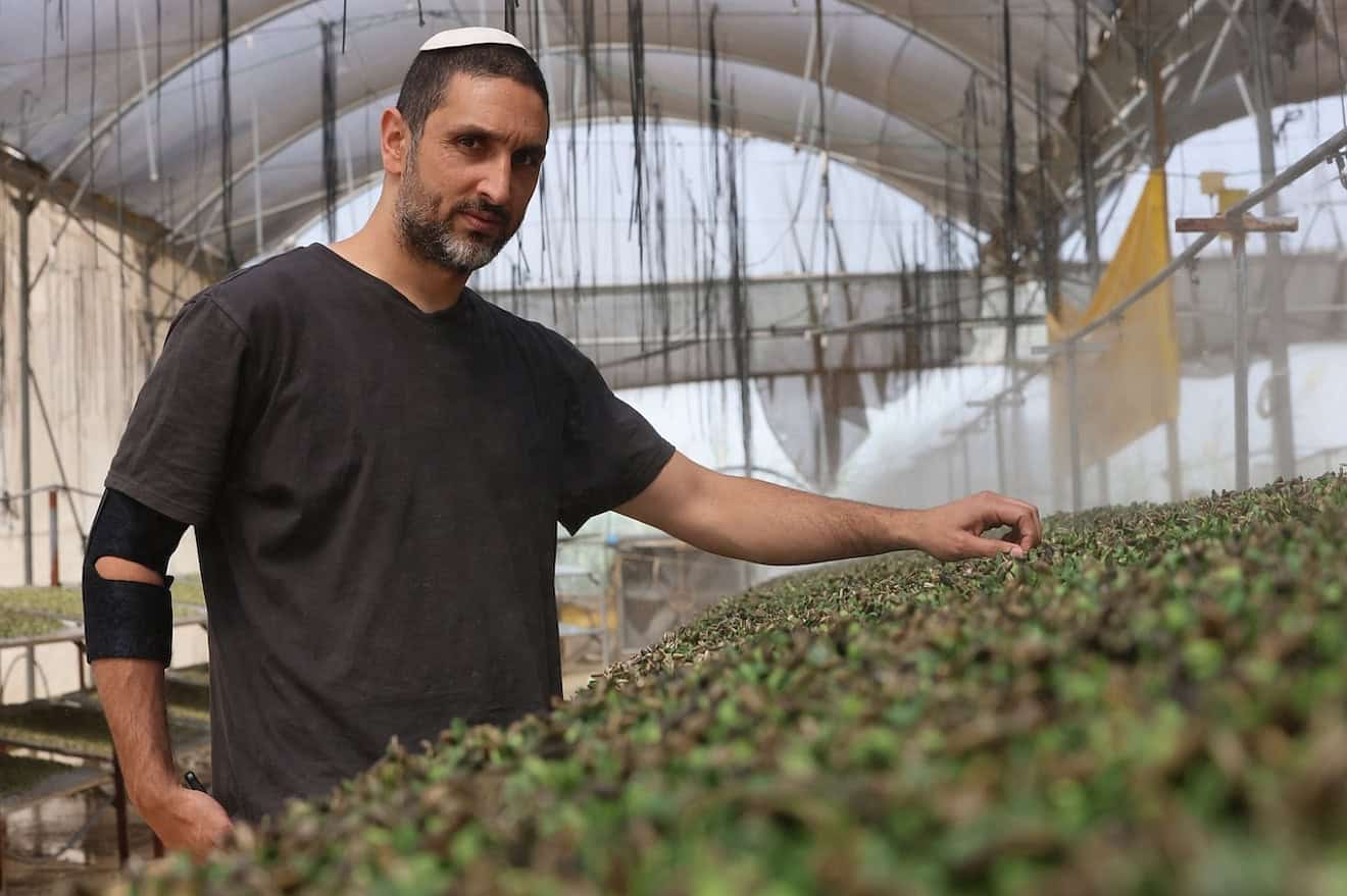 Elad Cohen