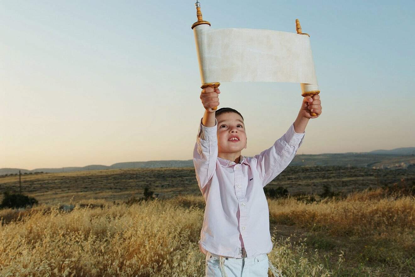 A boy holds a Torah scroll as in a wheat field before the holiday of Shavuot, May 5, 2013. Photo by Mendy Hechtman/Flash90.