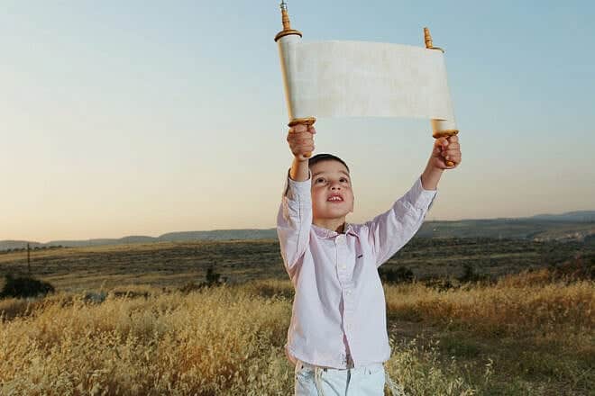 A boy holds a Torah scroll as in a wheat field before the holiday of Shavuot, May 5, 2013. Photo by Mendy Hechtman/Flash90.