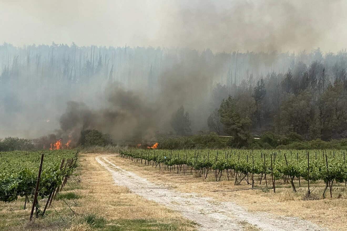 Fires in Mesilat Zion and Neve Shalom Forests in Israel as a result of fires started by rockets and missiles launched by Hezbollah in Lebanon, begun after the Hamas-led terrorist attacks in southern Israel on Oct. 7, 2023. Credit: Courtesy of KKL-JNF employees and forests.