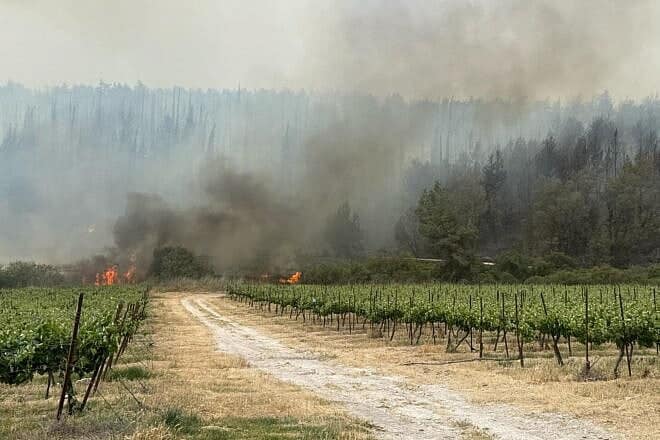 Fires in Mesilat Zion and Neve Shalom Forests in Israel as a result of fires started by rockets and missiles launched by Hezbollah in Lebanon, begun after the Hamas-led terrorist attacks in southern Israel on Oct. 7, 2023. Credit: Courtesy of KKL-JNF employees and forests.