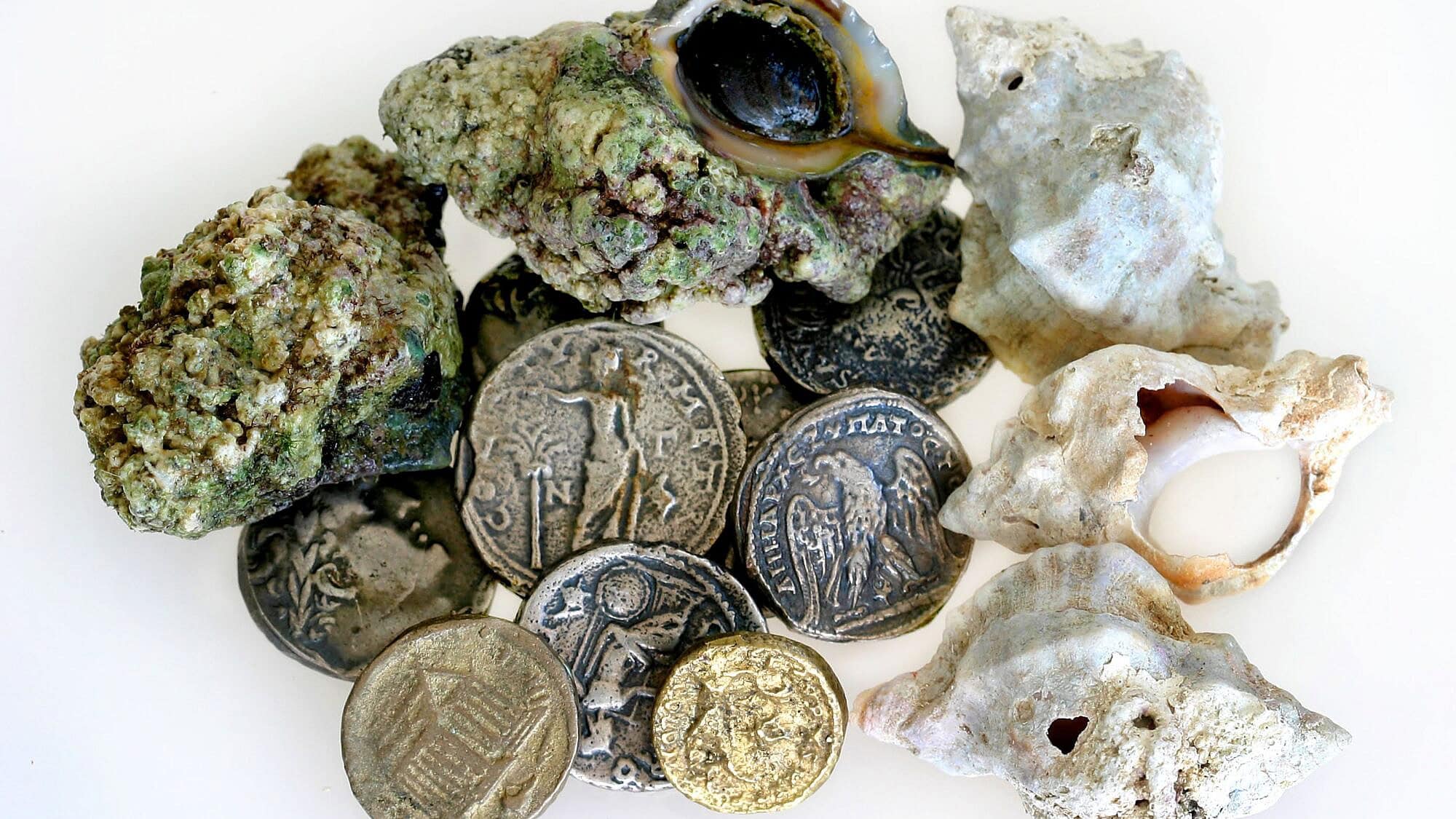 The search for the biblical blue dye is told in a new visitors center