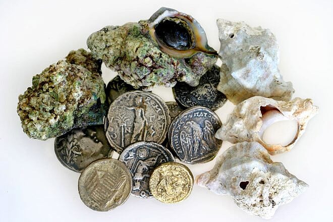 Murex trunculus shells and coins depicting them from the Roman period. Credit: Courtesy of Ptil Tekhelet.