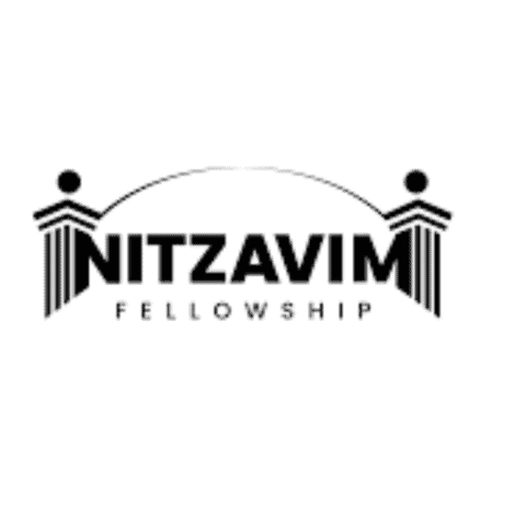 Nitzavim logo