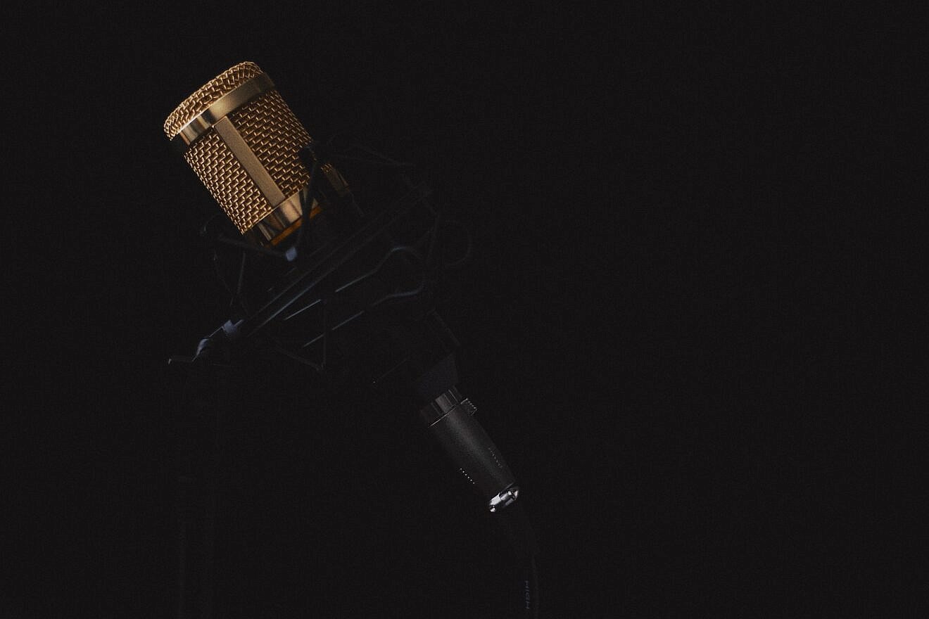 Microphone. Credit: lincerta/Pixabay.