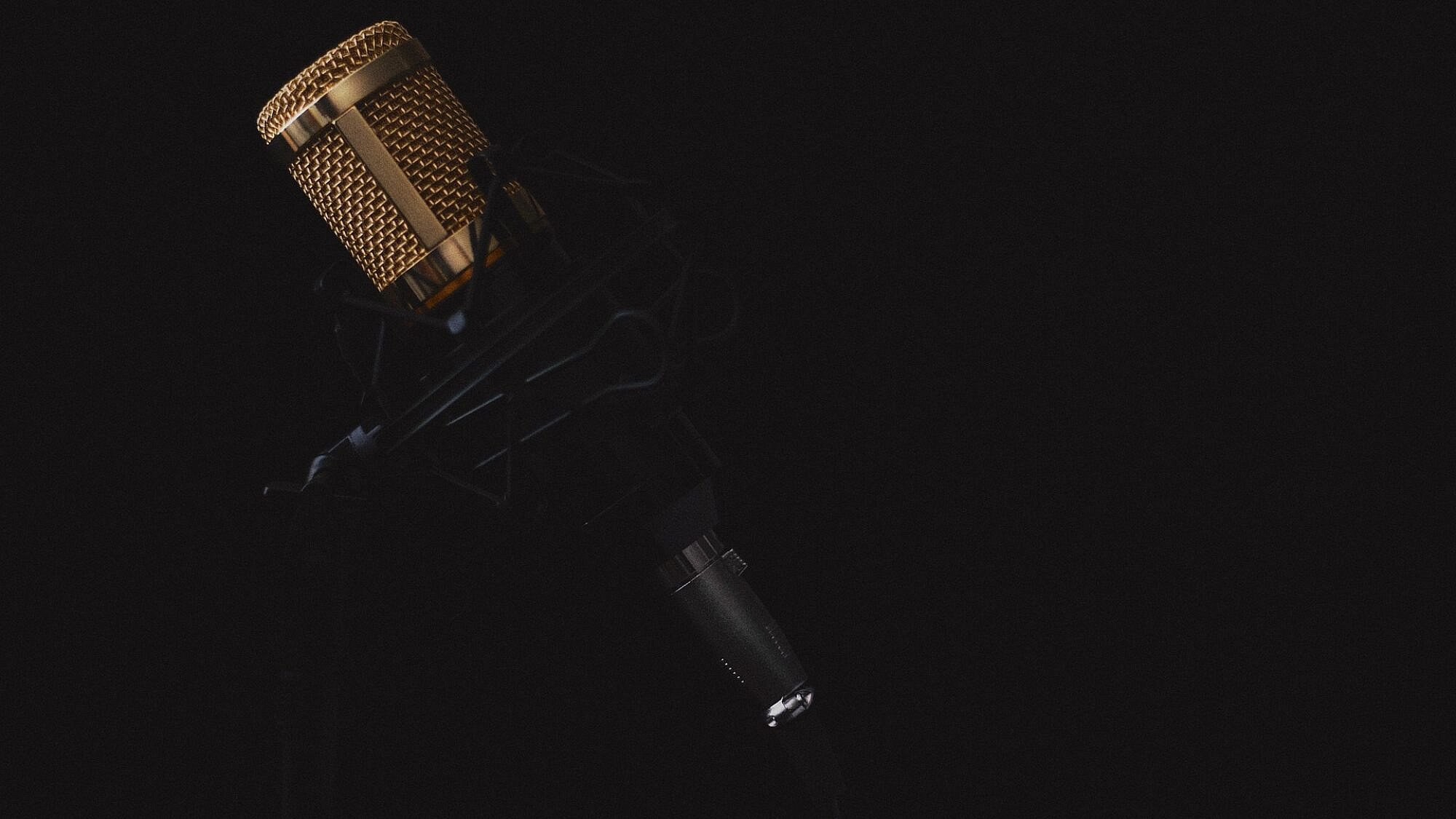 Microphone. Credit: lincerta/Pixabay.