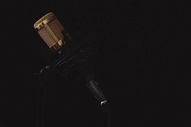 Microphone. Credit: lincerta/Pixabay.