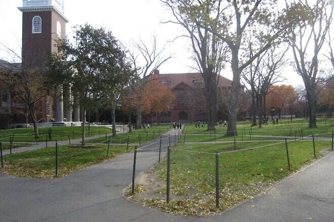 Harvard Yard at Harvard University in Cambridge, Mass., Nov. 9, 2019. Credit: Another Believer via Wikimedia Commons.