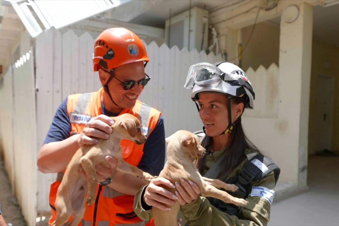 Two puppies rescued from a building destroyed in an Iranian missile strike in Bat Yam, June 17, 2025. Credit: Vadim Action.