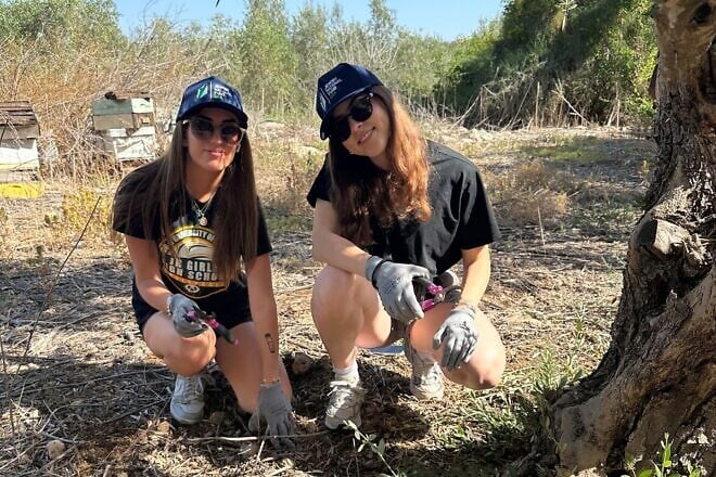 Students on the alternative break summer program work the grounds at an Israeli kibbutz. Credit: Courtesy of Jewish National Fund-USA.