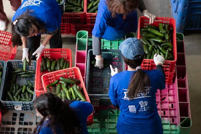 Leket Israel continues to serve Israelis in need of food despite the war. Credit: Courtesy.