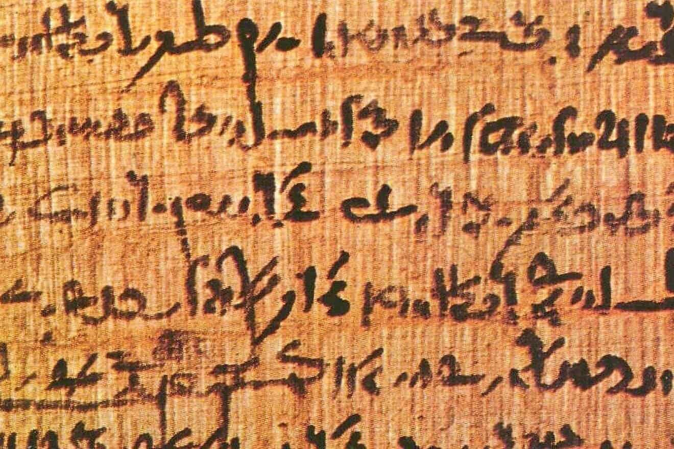 Papyrus as proof of ancient written history. Credit: Public Domain/Wikimedia Commons.