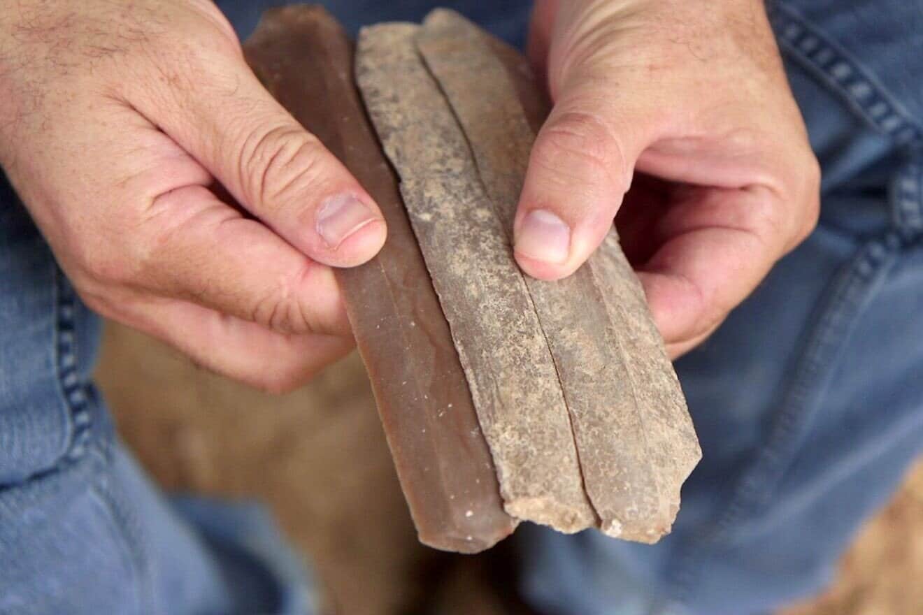 Flint blades uncovered in an ancient Early Bronze Age blade production workshop during excavations in southern Israel in the city of Kiryat Gat. Credit: The Israel Antiquities Authority.
