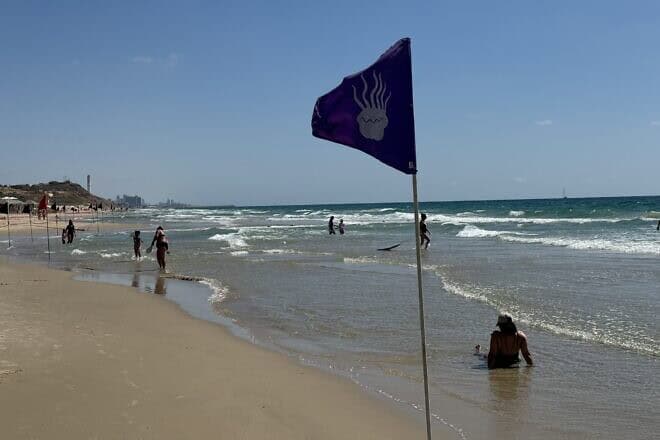 Bathers swim near a purple flag warning of jellyfish at a Tel Aviv beach, July 7, 2025. Photo by Howard Blas.