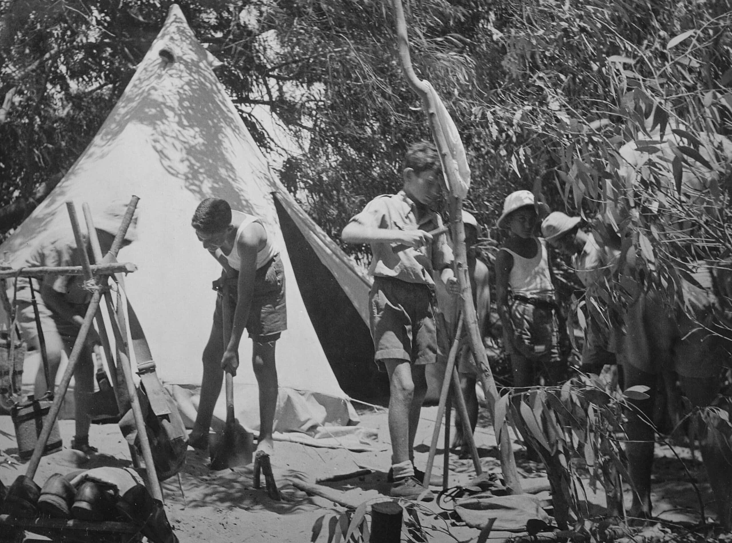 KKL-JNF Summer Camp in Israel