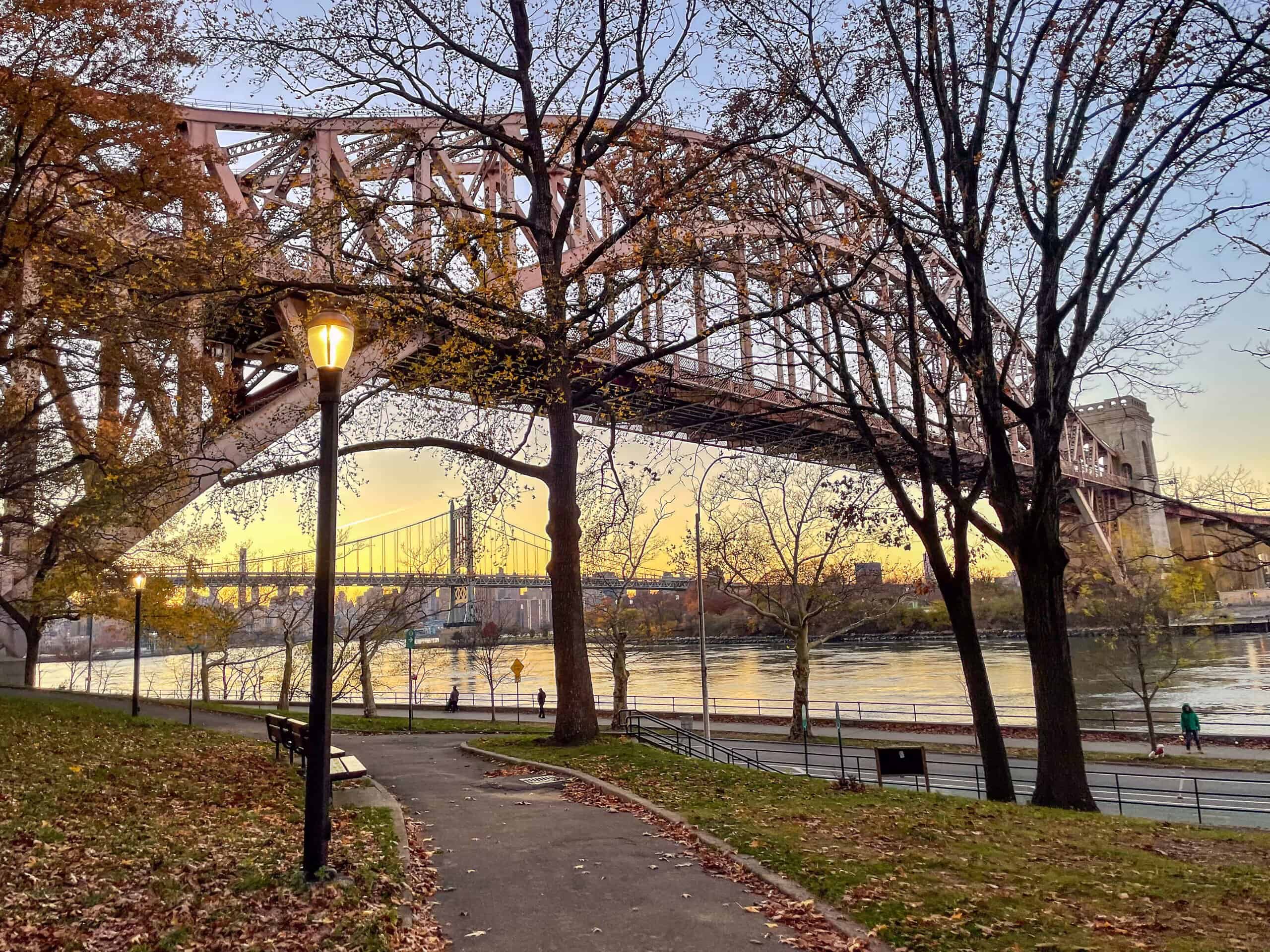 Will New Yorkers wake up to the mayoral election? - JNS.org