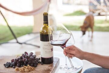 Mount Odem Winery is one of more than 25 Israeli wineries taking part in the Jerusalem Wine Festival. Photo by Nimrod Cohen Nimco. 