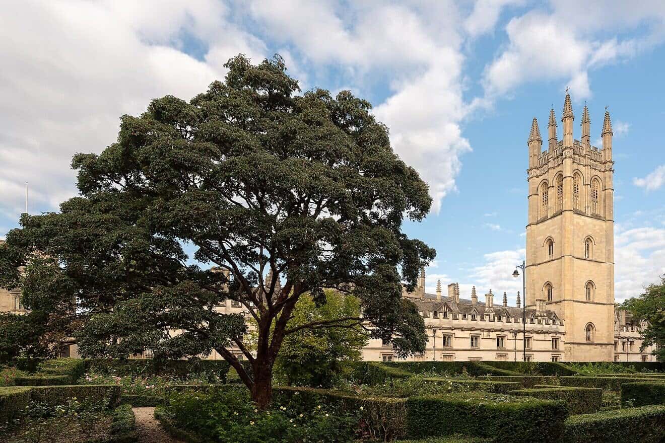 Rhodes scholar penned anti-Israel op-ed seemed to say Palestinians were daring to resist on Oct. 7