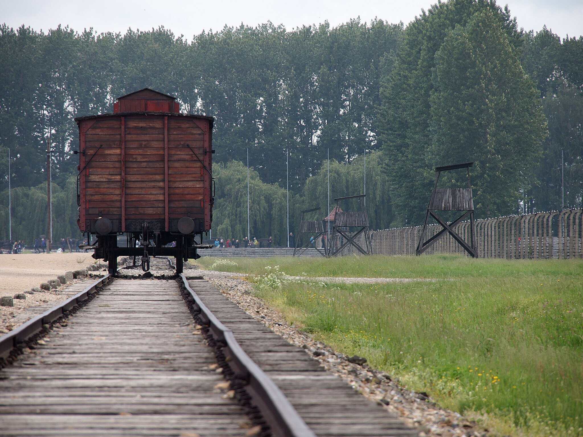 Half of Irish adults unaware 6 million Jews died in Holocaust - JNS.org