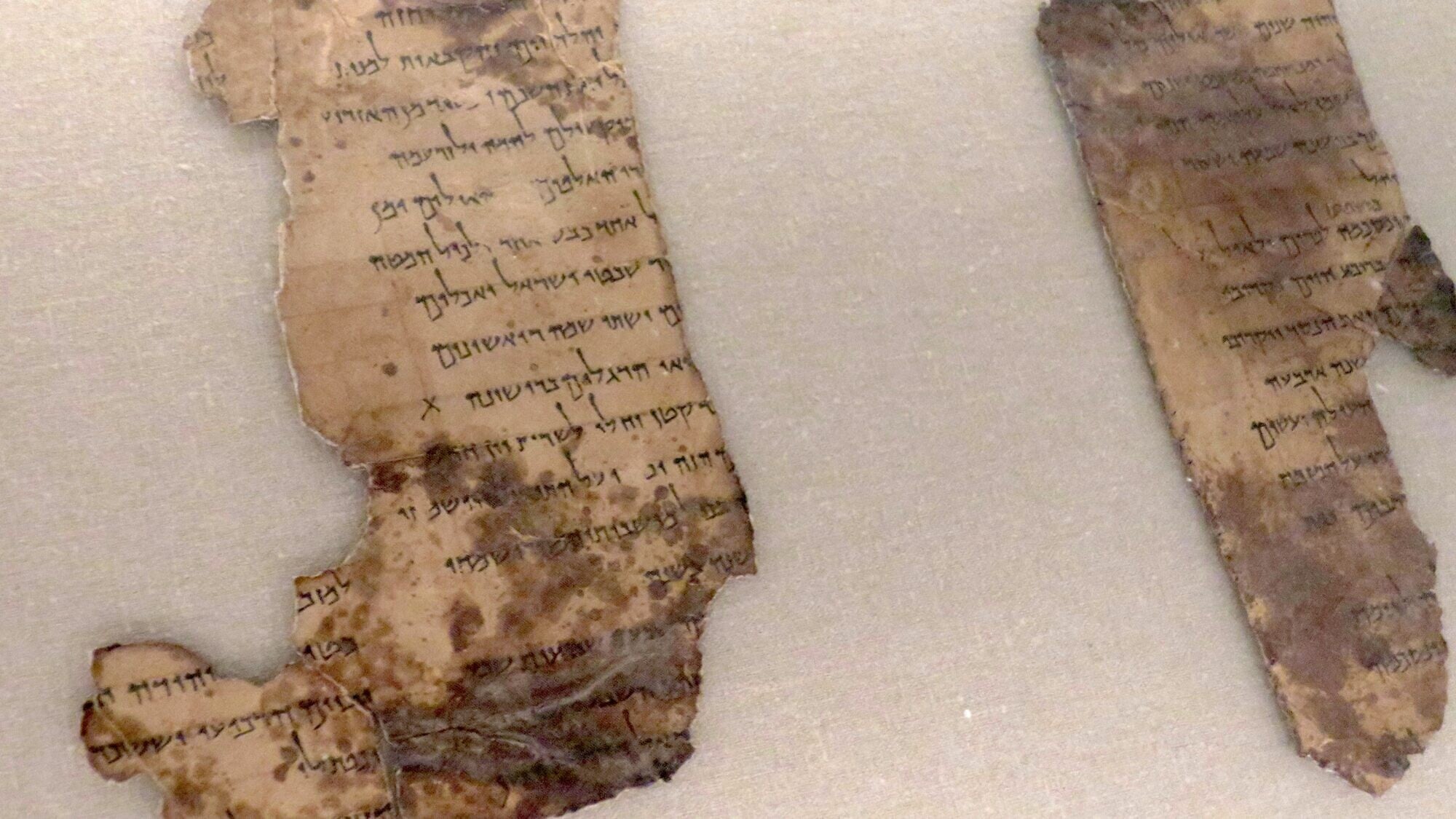 DCs Bible Museum exhibits Dead Sea Scrolls most significant archaeological discovery ever