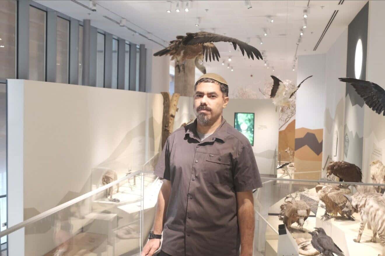 Israeli-led discovery redefines how dinosaurs took flight