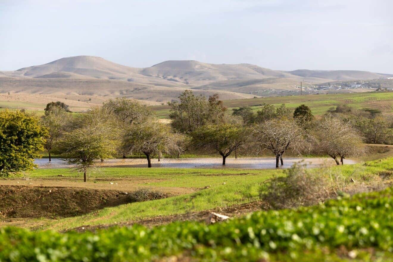 KKL-JNF earmarks tens of millions of shekels for projects across Israel -  JNS.org